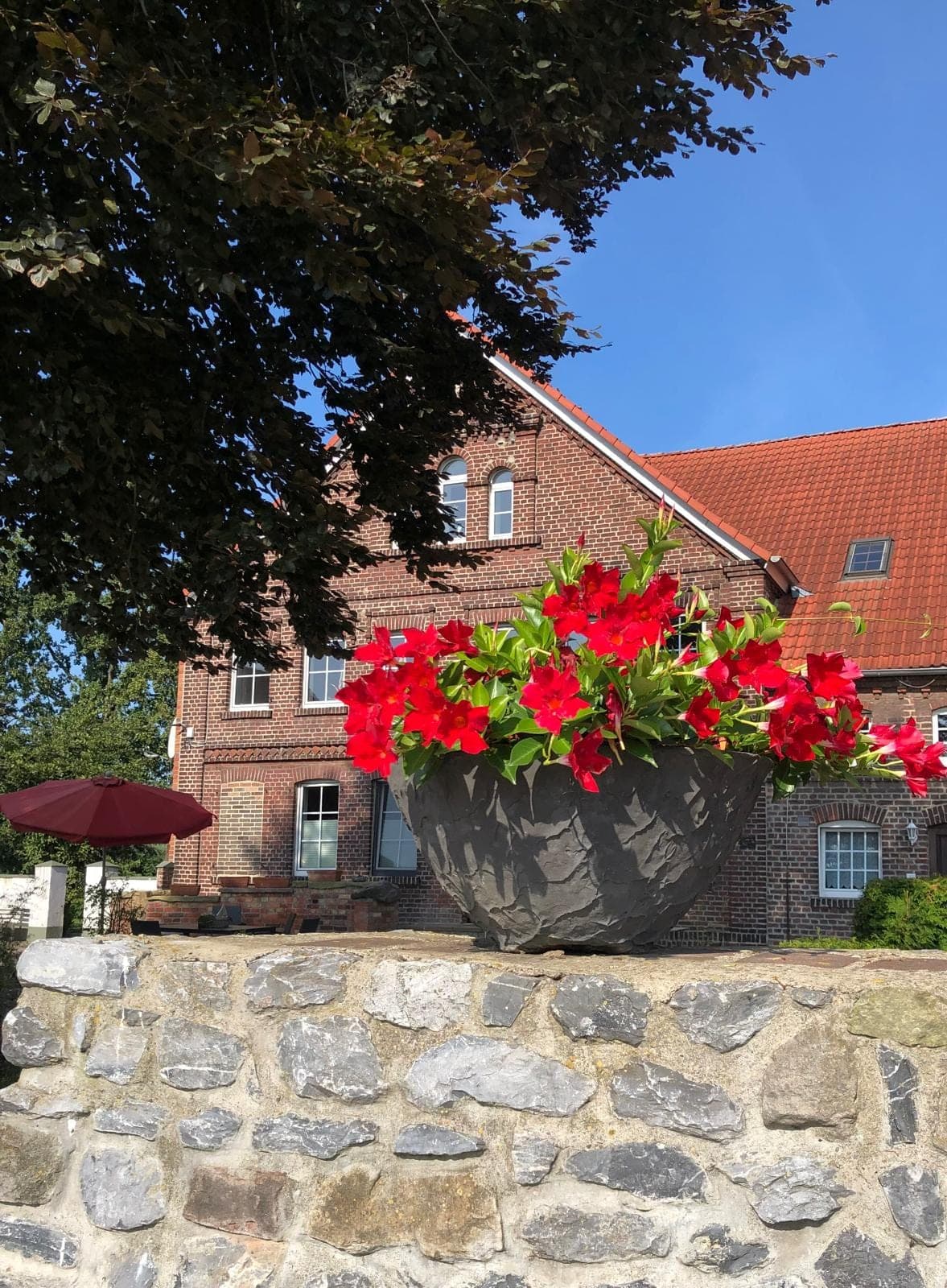 Rote Blumen in einem Steintopf vor dem Backsteinhaus des Landhofs.